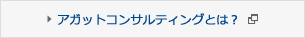 アガットコンサルティングとは？