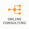 ONLINE CONSULTING
