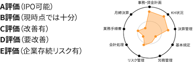 A評価（IPO可能）B評価（現時点では十分）C評価（改善有）D評価（要改善）E評価（企業存続リスク有）