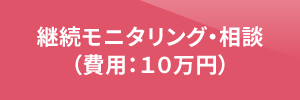 継続モニタリング・相談（費用：１０万円）