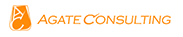 AGATE CONSULTING