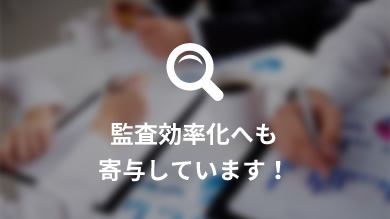 監査効率化へも 寄与しています！